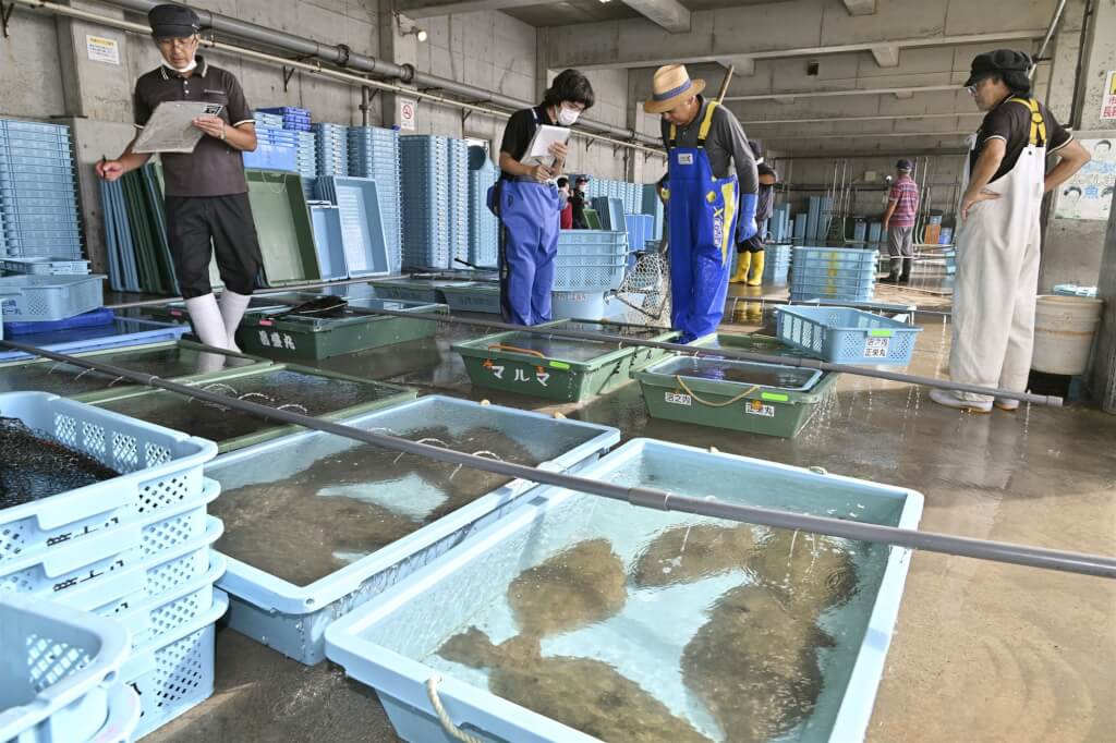 日本采取内部措施应对中国对日本水产品的全面禁令