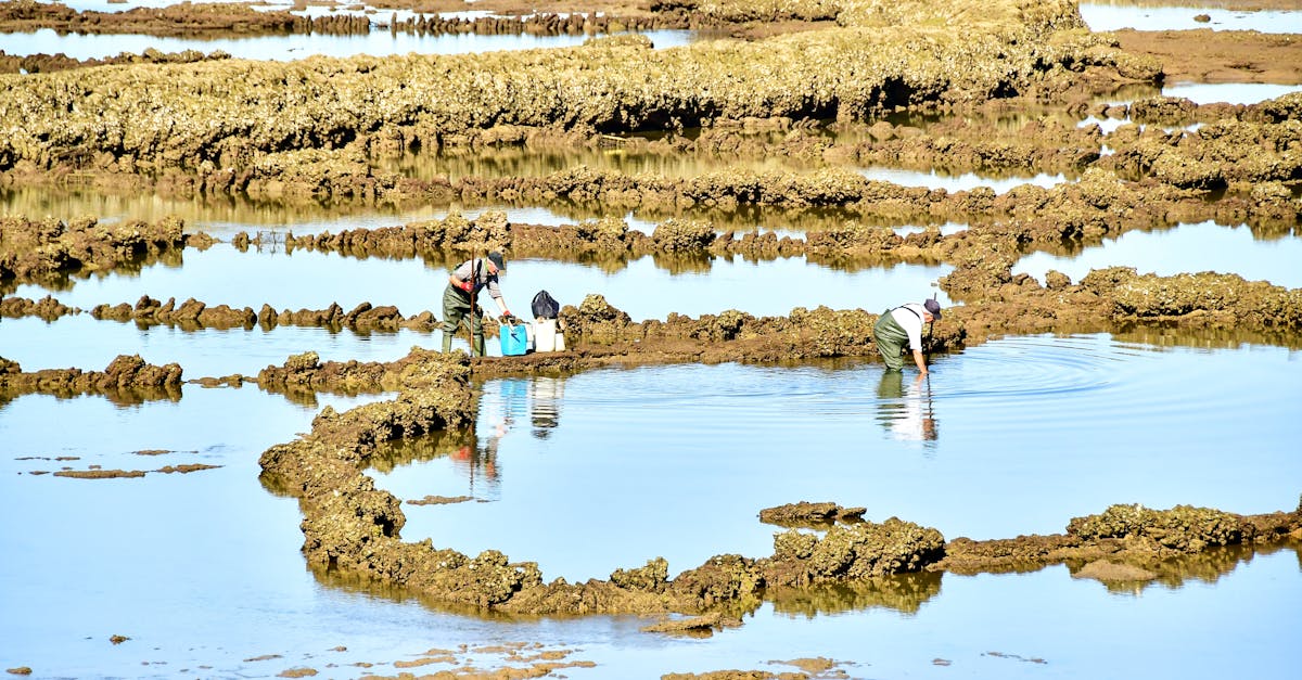 在霞浦潮线上的光影谜语与盐香