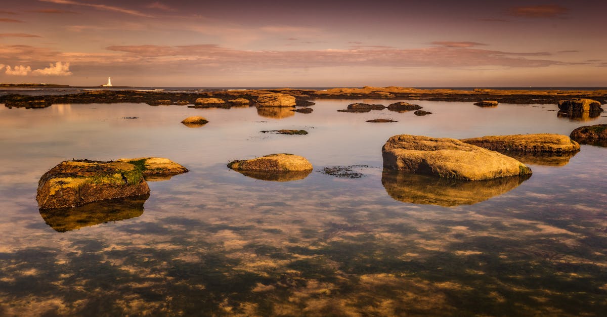 當海把石階攪成詩行的早晨