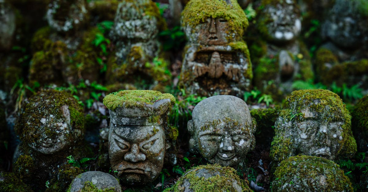 岚山百态石佛在黄昏里对笑