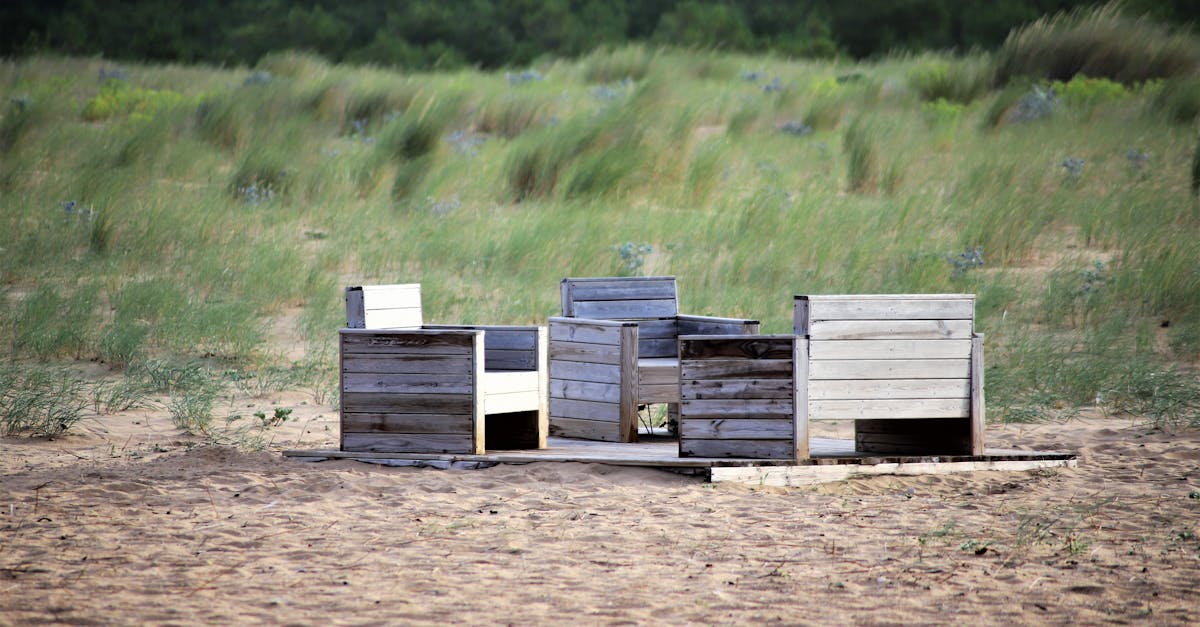 风在加路蘭的草原上写信迟到