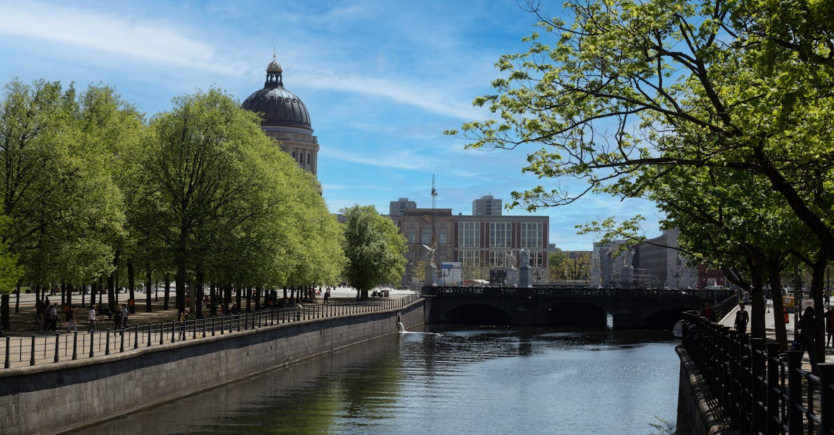 大风琴下的林间密语与光影