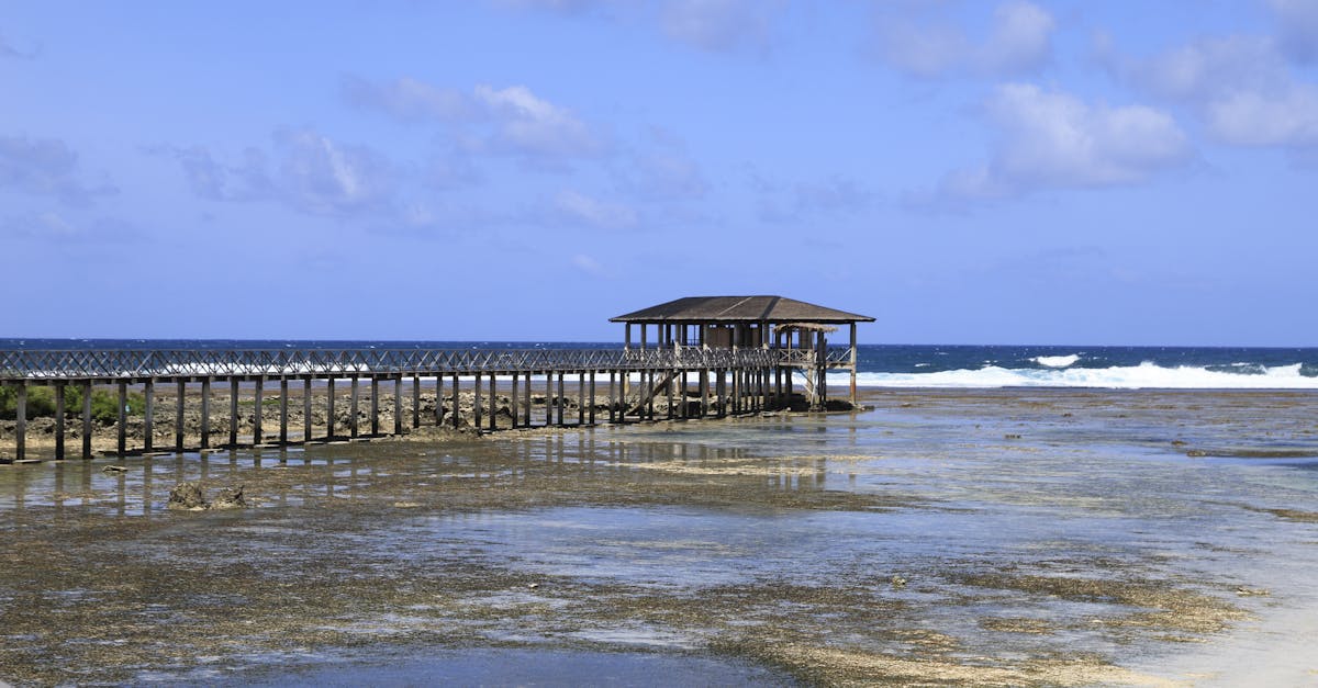 潮退时，老码头依旧有呼吸