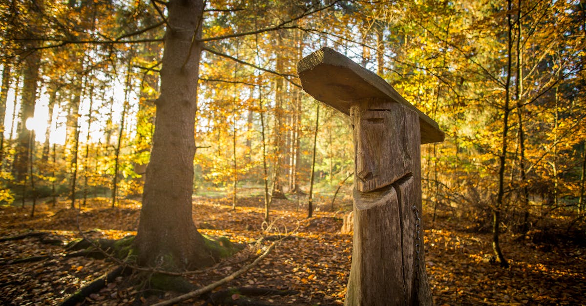 一把刻刀与落日把木屑染成金黄