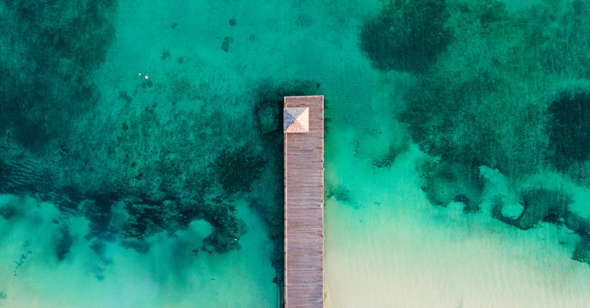 海灣縫隙裡的晨光與咸味之歌