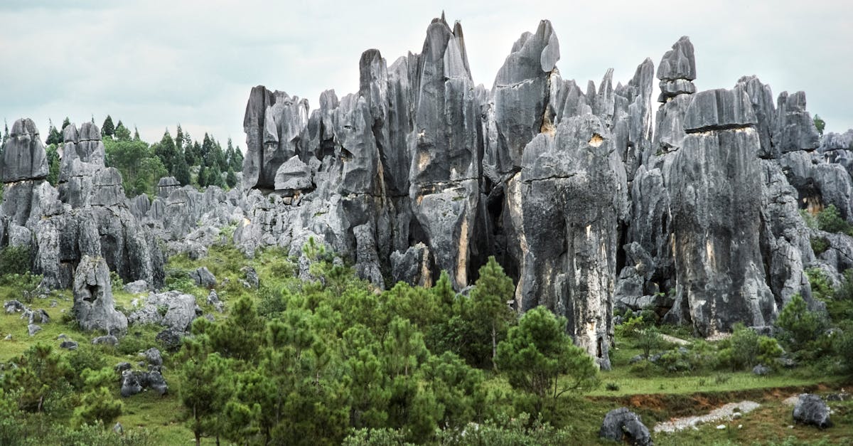 石林里，岩与风的秘密夜行