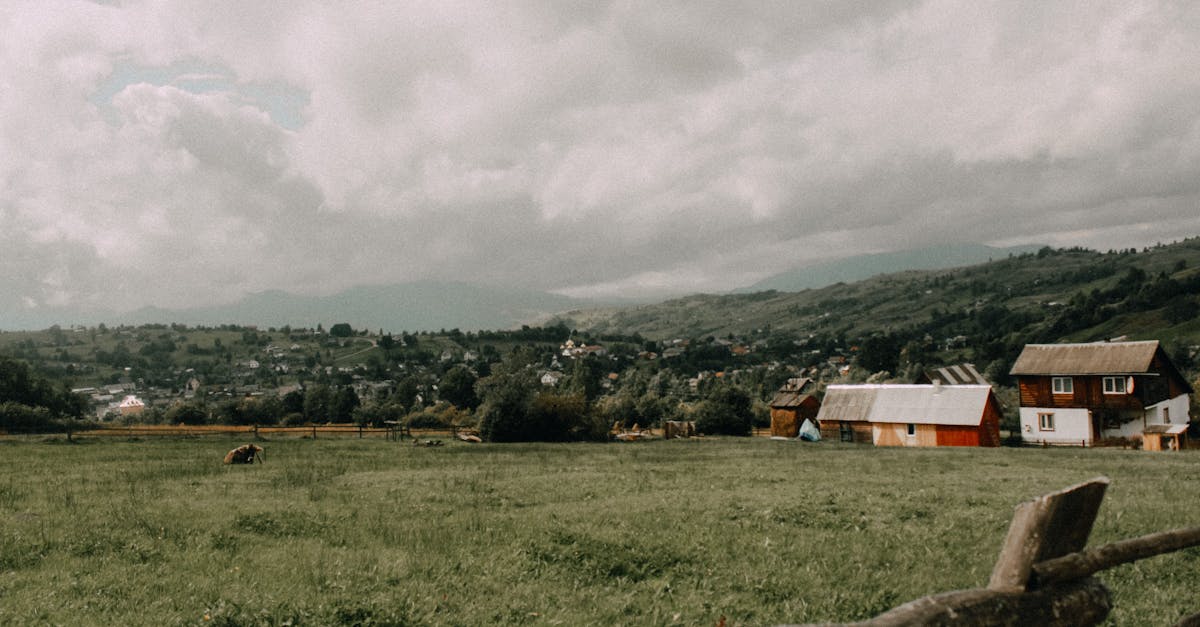 黎明与工作交错的寺院寄居