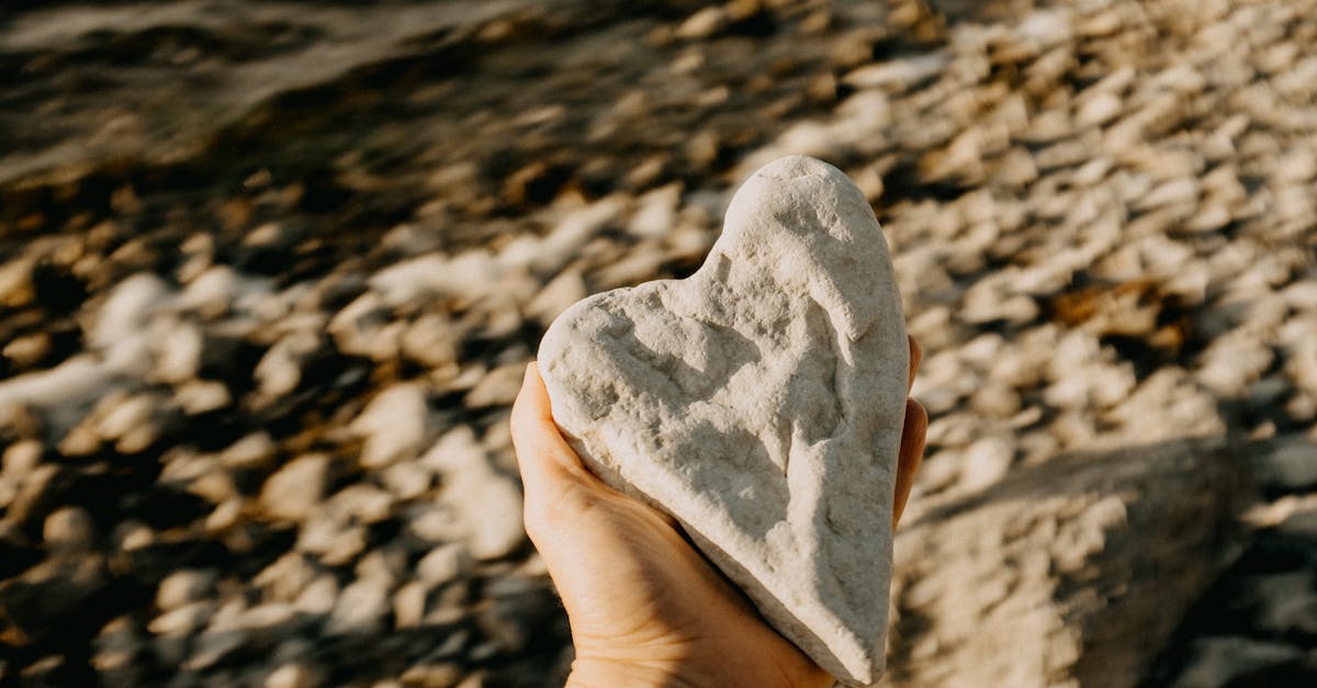 雙心石滬：潮間的兩次心跳