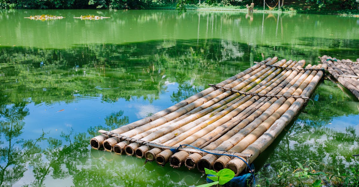 普者黑晨雾：在湖里撒下星光