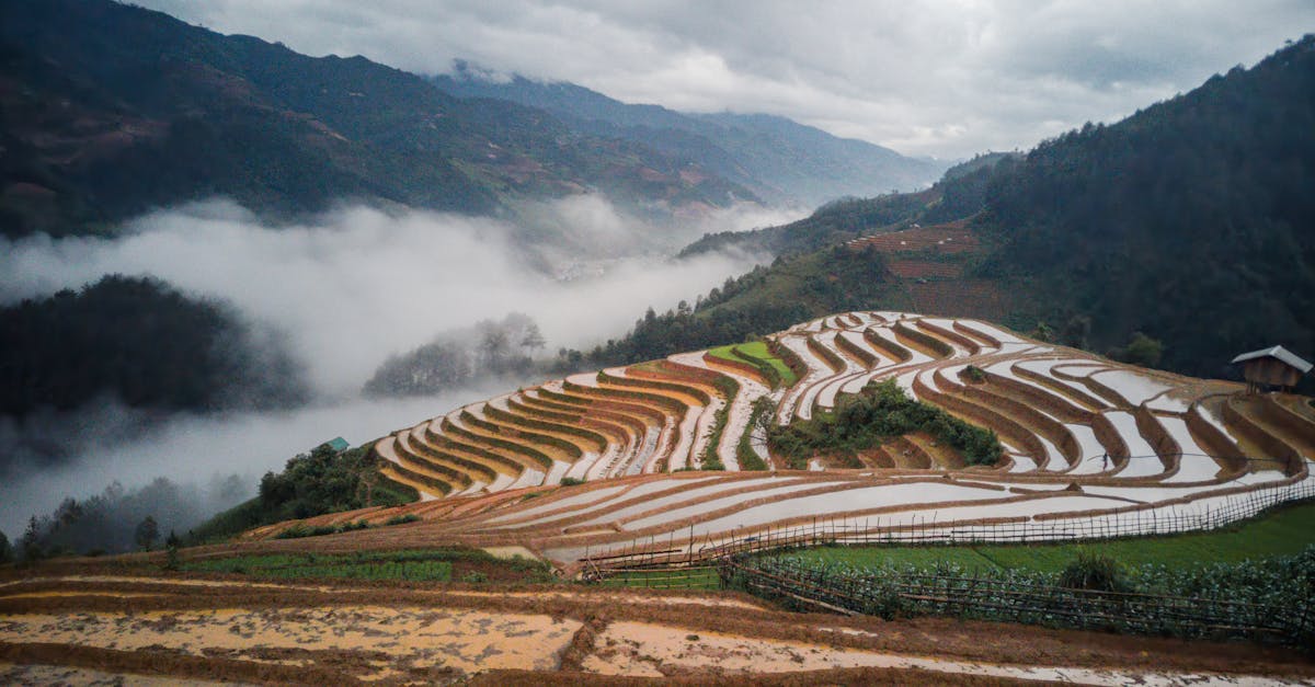 偏岩梯田：雾光与旧路的清醒