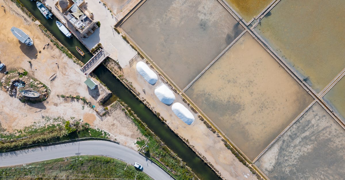 四湖盐田深处的鹭影与风声