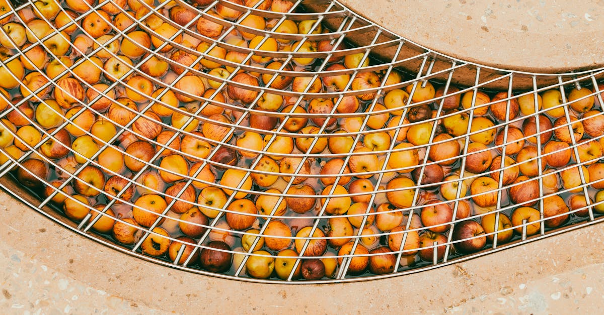 在洛川苹果山脊看落日与尘土