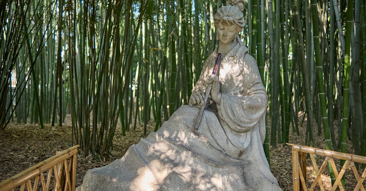 当石头开始笑：嵯峨野念仏寺