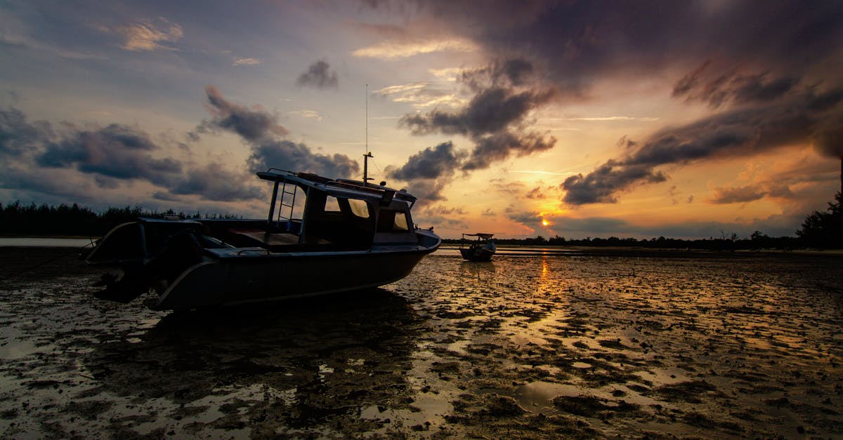拂晓泥面上的光与渔网阴影