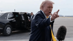 353924155954