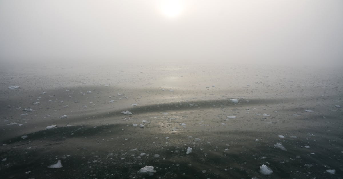 雾从海上爬出来，街灯把人照得更静