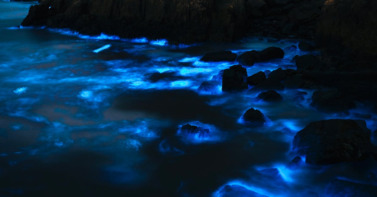 当海水在手心里放出星光之夜