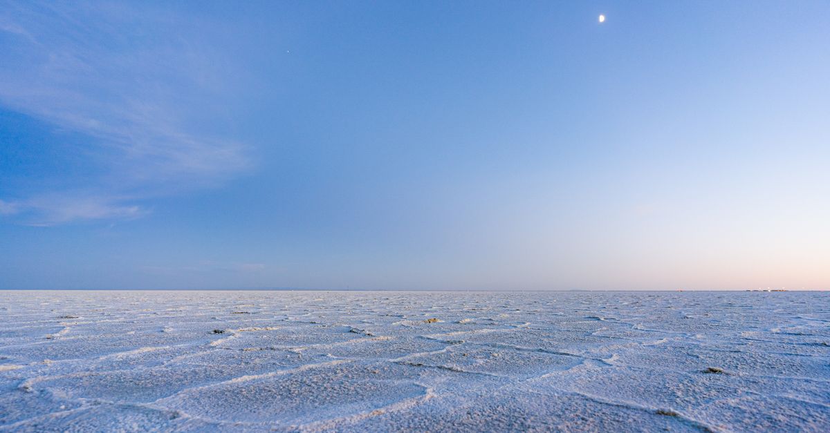 在盐碱地听潮气：海风把路吹成回忆