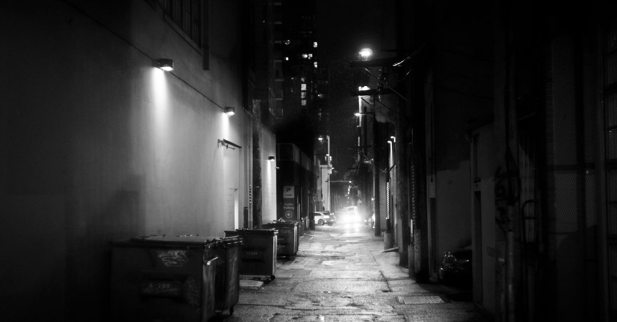 在霓虹背后，雨巷把灯光咬碎